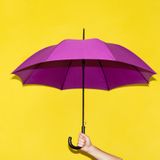 man-holds-his-hand-purple-umbrella_94065-394